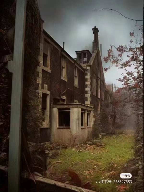 苏格兰Ravenspark Asylum 疯人院
