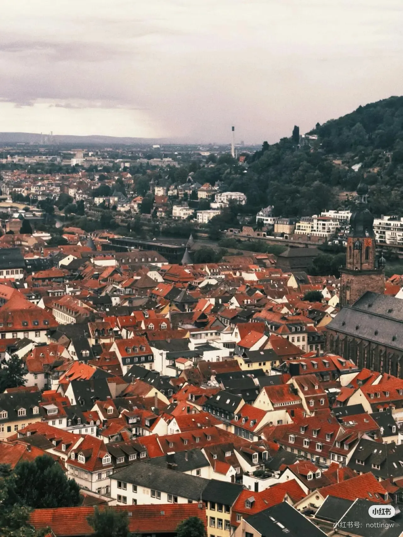 NottingW Photography — heidelberg