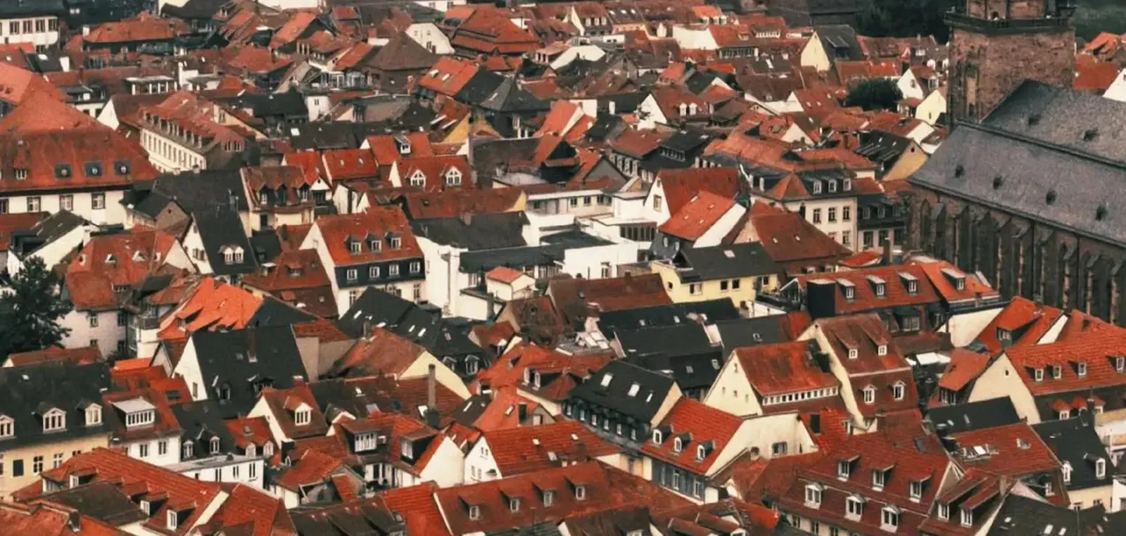 Neighborhood